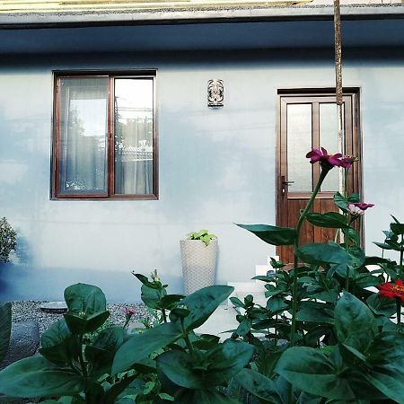 Ferienwohnung Rudolf Bordschomi Exterior foto