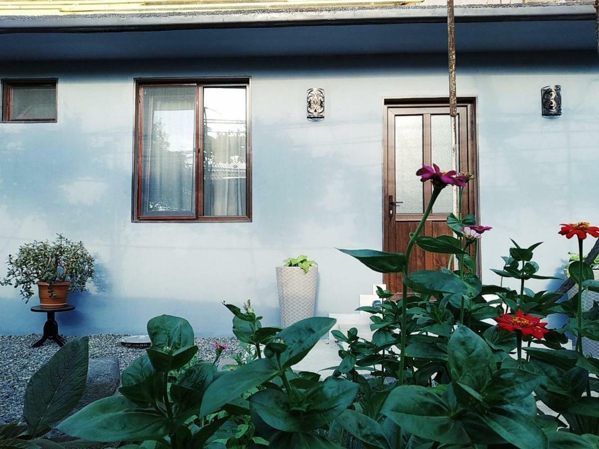 Ferienwohnung Rudolf Bordschomi Exterior foto